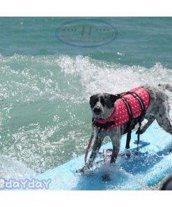 わんちゃん用 ライフジャケット 小型犬 中型犬 大型犬用 水遊び 海 川 救命胴衣 ペット 犬用 ペット用品 ライフベスト フローティングベスト 犬用浮き輪