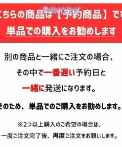 【2色セット】マスク メッシュ 夏 涼しい 洗えるマスク  夏 大人 子供用 立体 快適 夏用マスク 春夏 立体メッシュ (定形外条件付き)